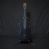 Palm Mute Exotic